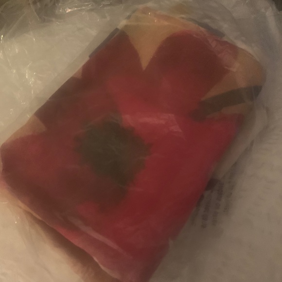 Shams - Picture 2 of 9